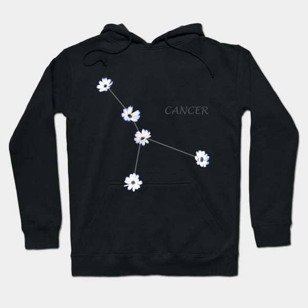 Cancer Zodiac horoscope Constellation Sticker flower Hoodie by colorandcolor